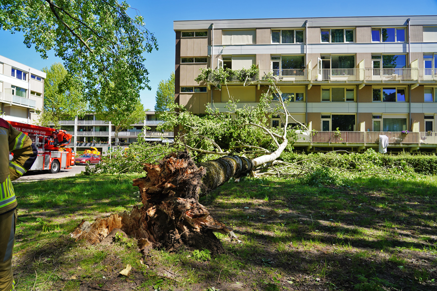 Balkons beschadigd nadat boom tegen flat waait