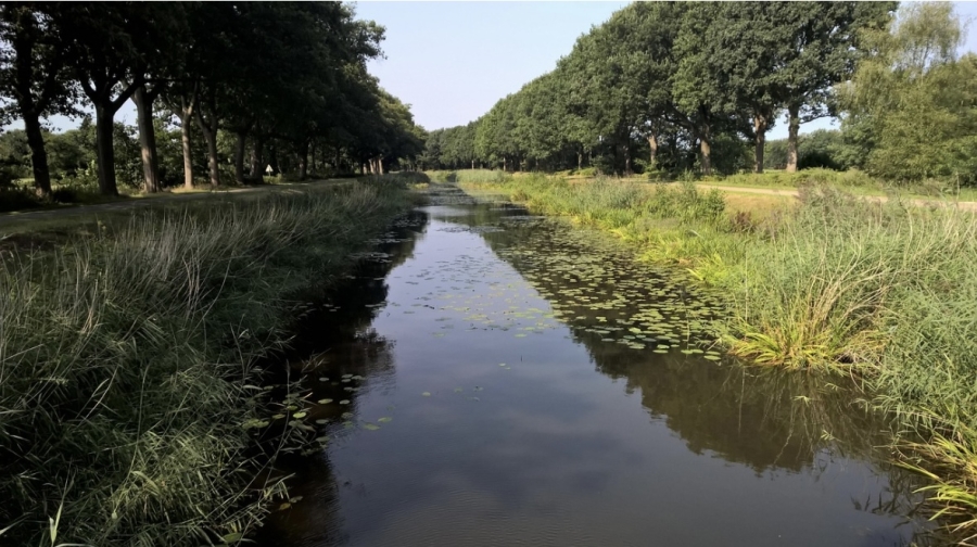 Overijssel gaat wildaanrijdingen structureel aanpakken met nieuwe faunavoorzieningen