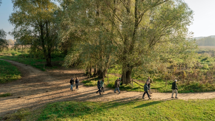 Basteicafé: Natuur als culturele daad