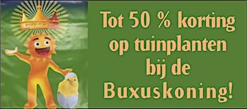 buxuskoning